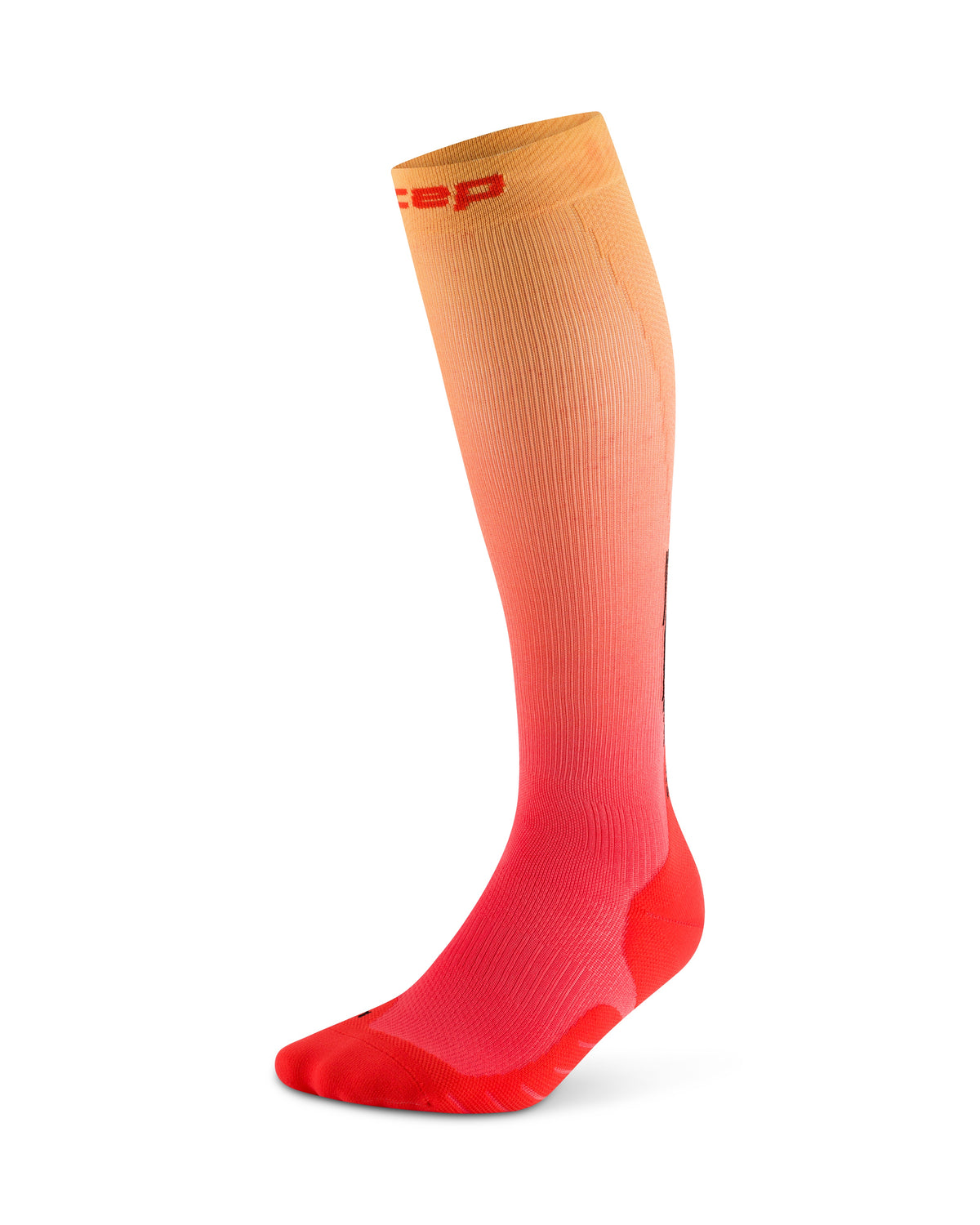 Women CORE RUN EDT GRADIENT 25, Knee High 20-30mmHg CEP Compression Socks