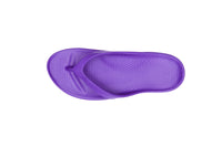 Sandales Calzuro Aqua Violet